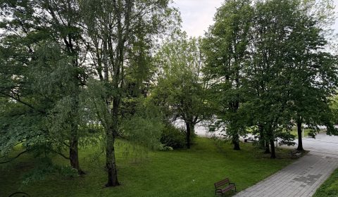 1920x1920wm2510021223-47d3d-pronajem-bytu-3-1-po-rekonstrukci-ul-frydlantska-frydek-mistek-img-3956-242769f22a-4045884020