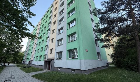 1920x1920wm2510021223-6646a-pronajem-bytu-3-1-po-rekonstrukci-ul-frydlantska-frydek-mistek-img-3972-2db169f22a-2241009220