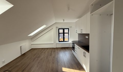 1920x1920wm2510021223-e9f94-pronajem-bytu-3-kk-64-m2-bilovec-img-4687-8d53c0886f-2517426743