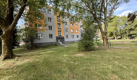 1920x1920wm2605260600-32488-prodej-bytu-3-1-69-m2-s-lodzii-ul-karla-pokorneho-ostrava-poruba-img-6661-345b69f22a-2923943046