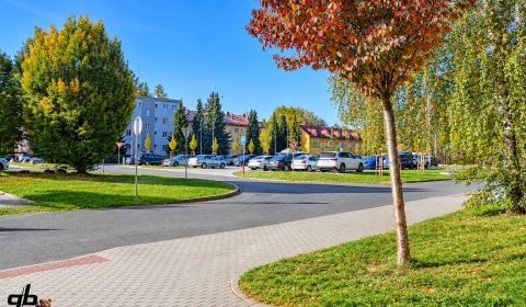 1920x1920wm2605260600-c54c8-prodej-bytu-3-1-68-m2-s-lodzii-ul-j-bozana-frydek-mistek-dsc01032up-def069f22a-1152424866